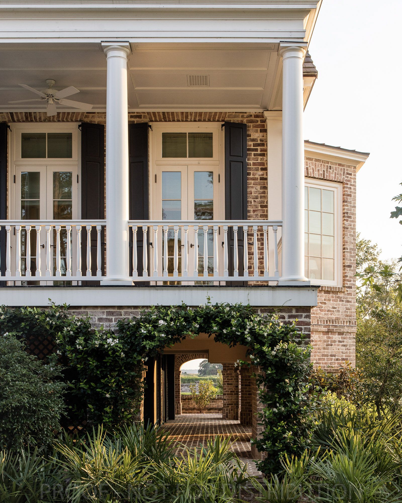 63 Ace Basin (25 Of 87)