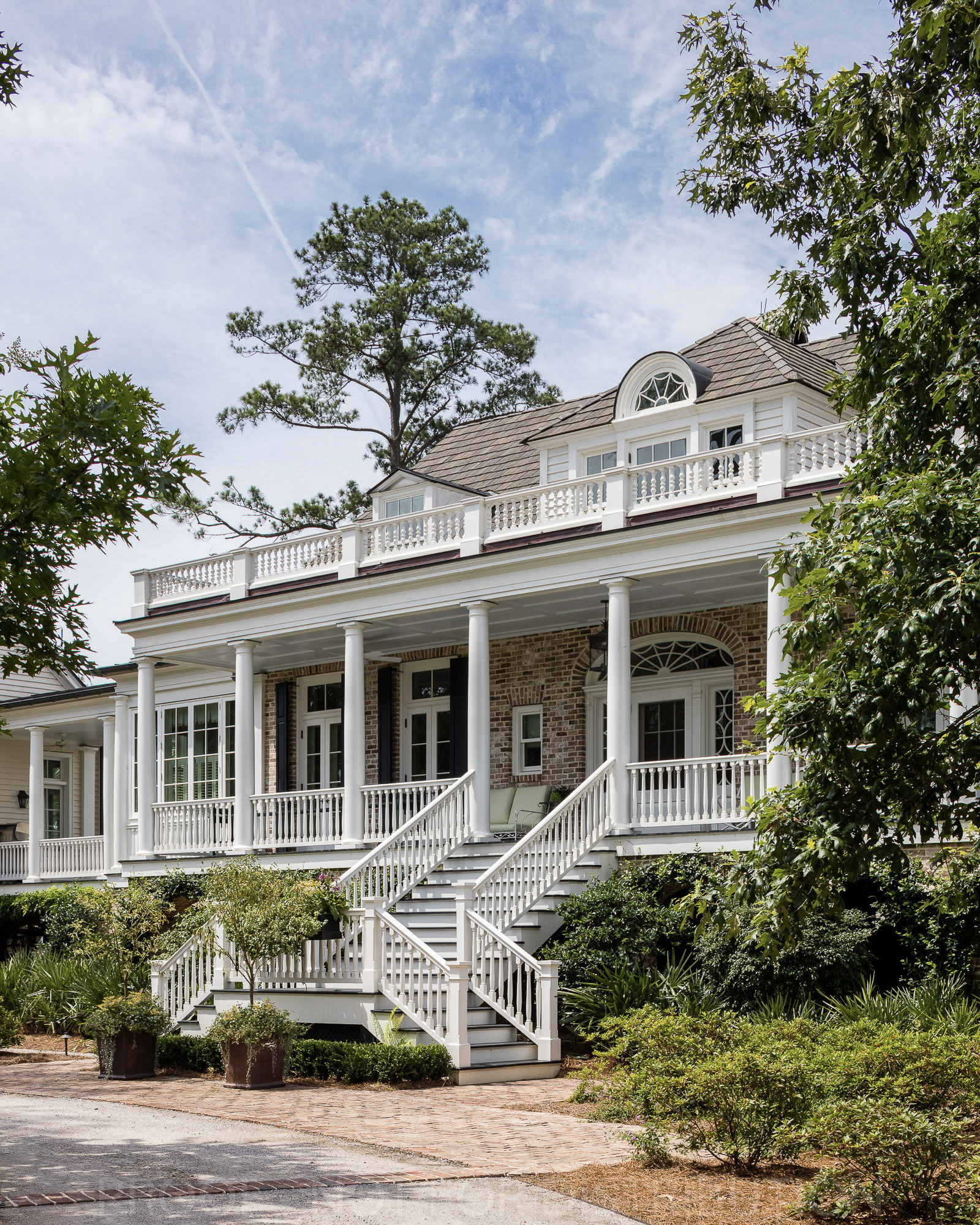 64 Ace Basin (24 Of 87)