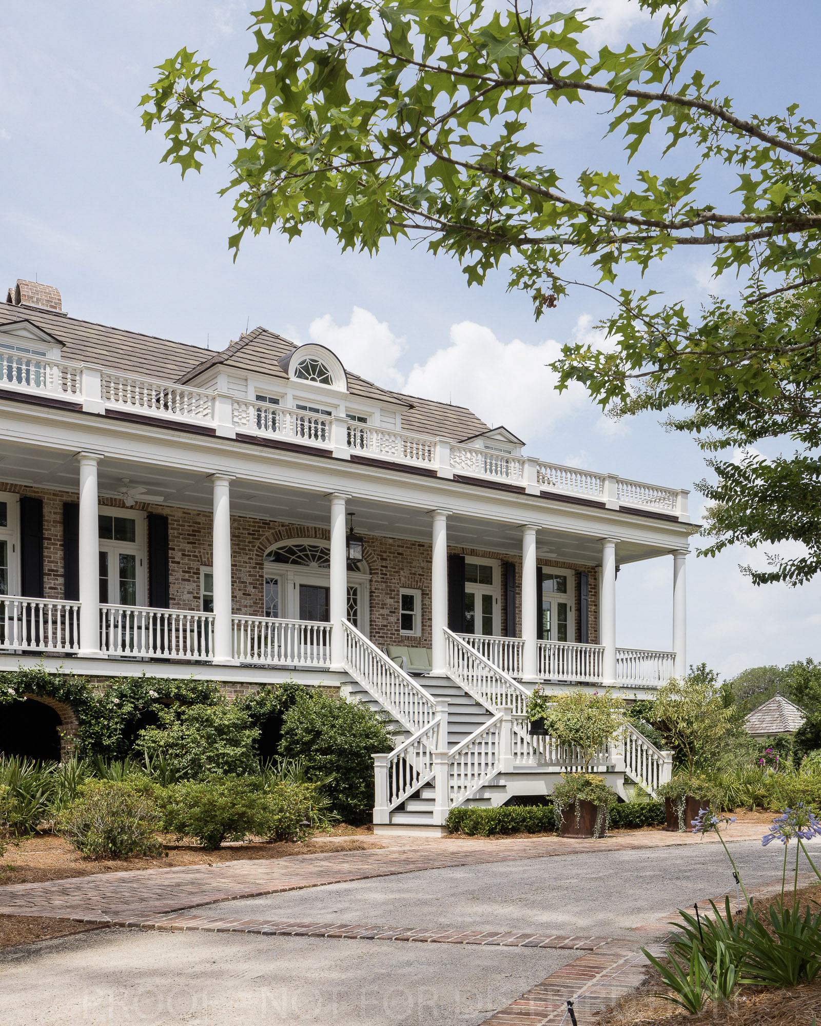 72 Ace Basin (32 Of 87)