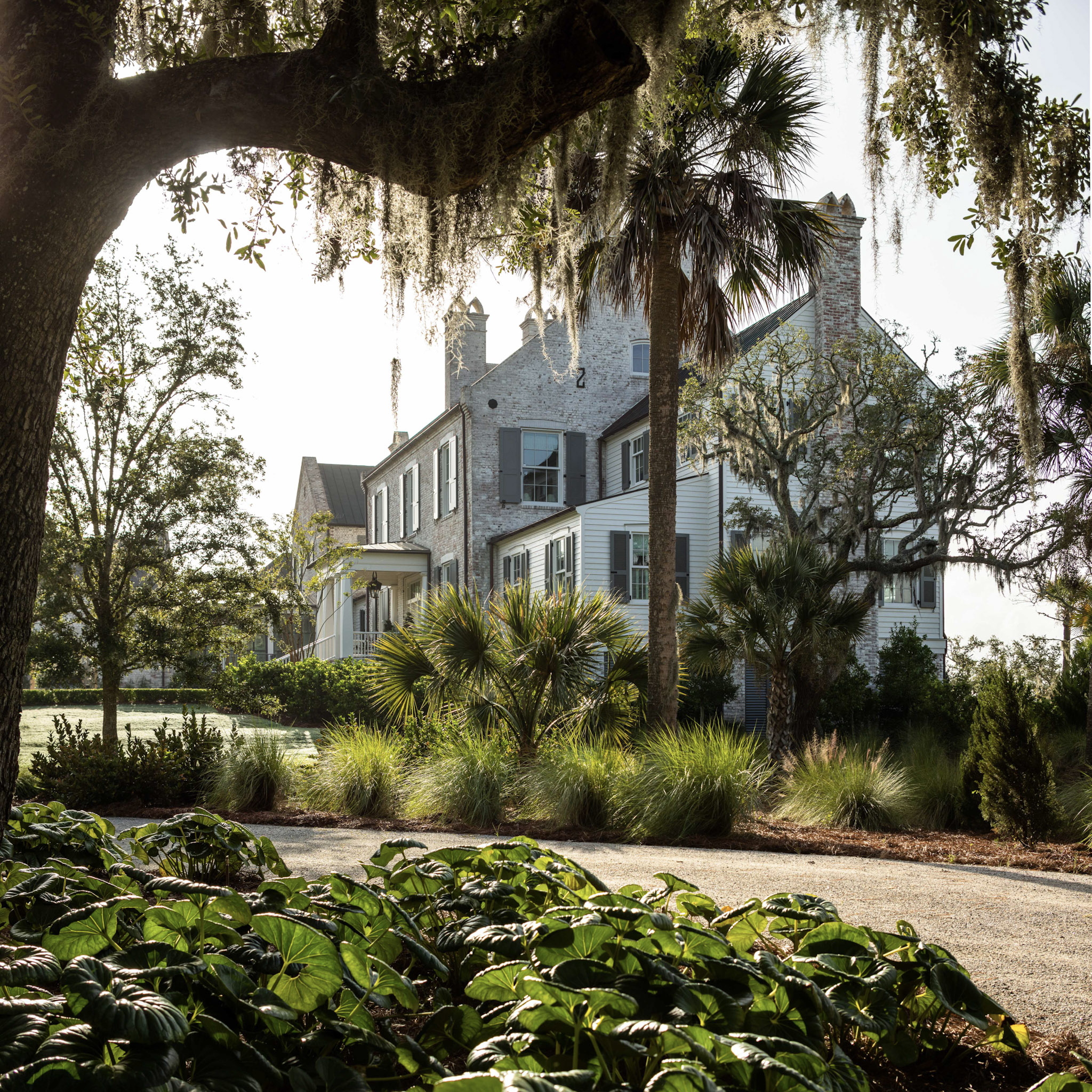 6 Charleston (6 Of 10)